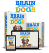 brain training For dogs