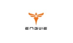 Engwe bikes