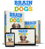 Brain Training for Dogs – Unique Dog Training Course! Easy Sell!